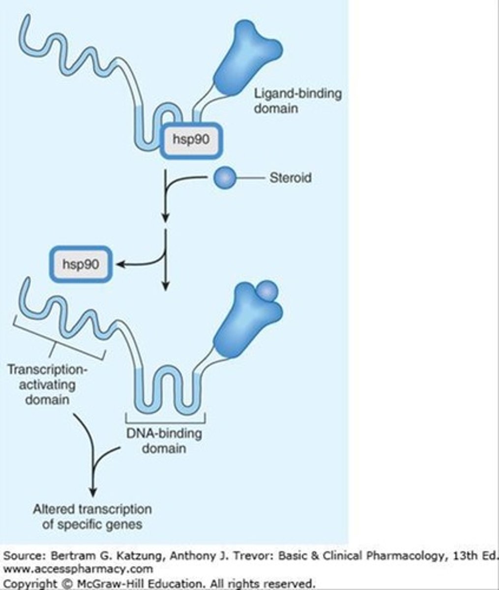 <p>Lipid soluble drug crossing the plasma membrane and acting on intracellular receptors (e.g., steroids).</p>