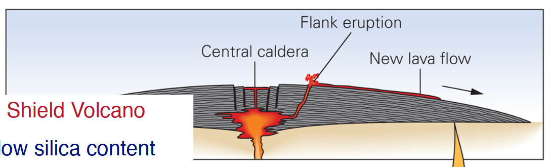 <p>Low silica content, low viscosity, runny lava placid eruptions</p><p>Mafic volcanoes which are the biggest on earth due to the lava flowing down, forming a small hillC</p>