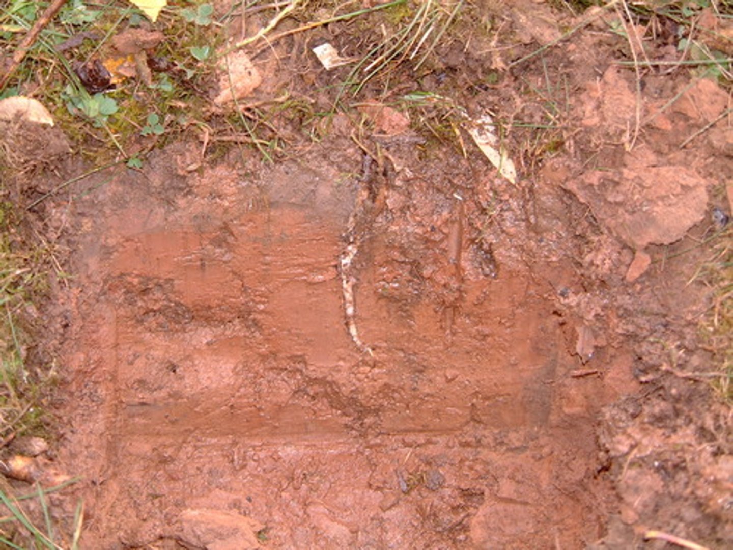 <p>clay soils drain more slowly and have high field capacity<br><br>soils tend to be wet as they do not allow water to be transferred readily</p>