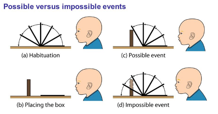 <p><span style="font-family: hurme_no2-webfont, -apple-system, system-ui, sans-serif">infants were habituated to the sight of a screen rotating through 180°. a block of wood was placed in the path of the drawbridge.</span></p><ul><li><p><span style="font-family: hurme_no2-webfont, -apple-system, system-ui, sans-serif">the control group saw the expected event, in which the drawbridge stopped at the point where its path was blocked by the block.</span></p></li><li><p><span style="font-family: hurme_no2-webfont, -apple-system, system-ui, sans-serif">the experimental group saw the unexpected event, in which the drawbridge appeared to pass through the block and ended up lying flat.</span></p></li></ul><p>(6)<span style="font-family: Times New Roman">&nbsp;&nbsp; </span>prediction: if infant understands object permanence, infant should look longer at the impossible event</p>