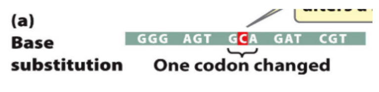 <ul><li><p><span style="font-family: &quot;Helvetica Neue&quot;, sans-serif">One codon changed when a base is added, no frameshift, only that codon is affected</span></p></li></ul><p></p>