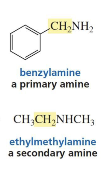 <p>Primary, secondary, or tertiary amine (depends)</p><p>H2O is used instead of H<sub>3</sub>O<sup>+</sup></p>