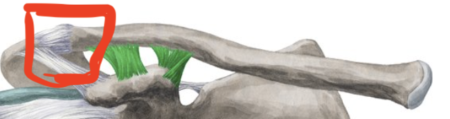 <p>Landmark Name:</p>