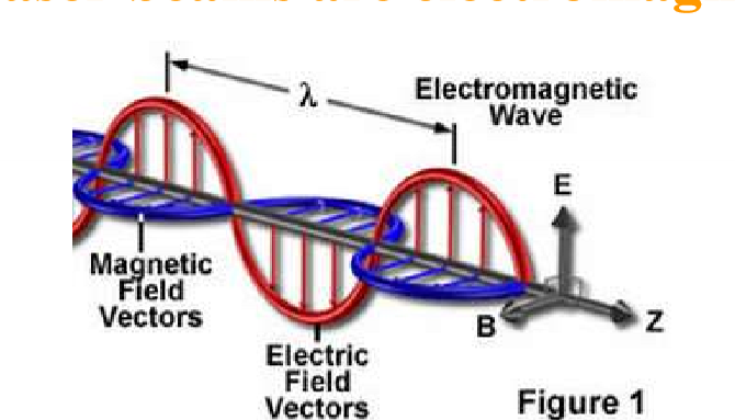 <ul><li><p>Electric and Magnetic field vectors propogate perpendicular to each other</p></li></ul><p></p>
