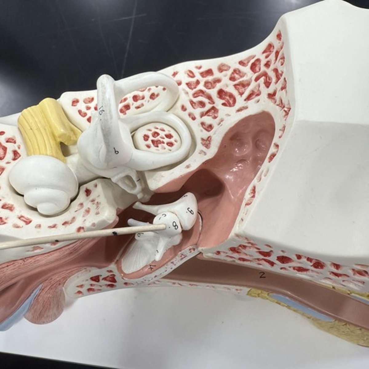 <p>What is this structure?</p>