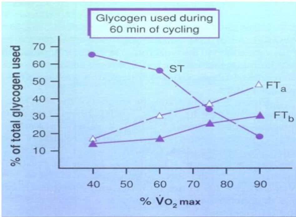 <p><strong>True</strong> or <strong>False</strong>: Submaximal exercises uses slow twitch muscle fibers and anaerobic respiration</p>
