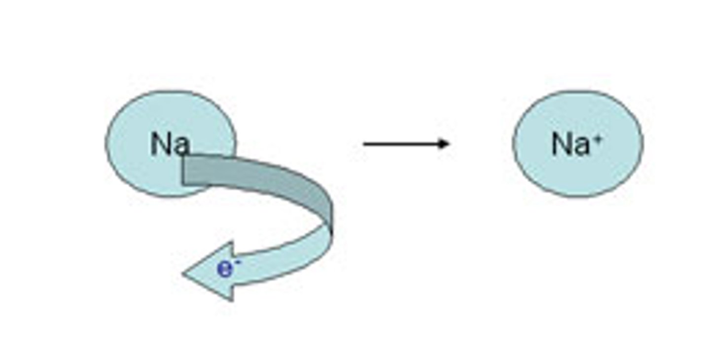 <p>loss of electrons; loss of hydrogen -&gt; for releasing energy</p>