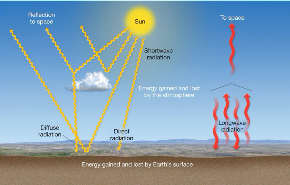 <p>Energy Balance</p>