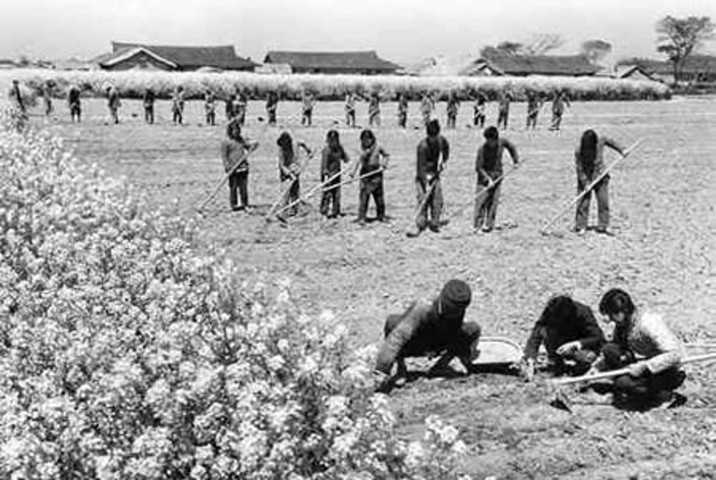 <p>to run or organize a farm according to principles of united control; often used by Communist countries to expedite industrial and agricultural production resulting in shortages</p>