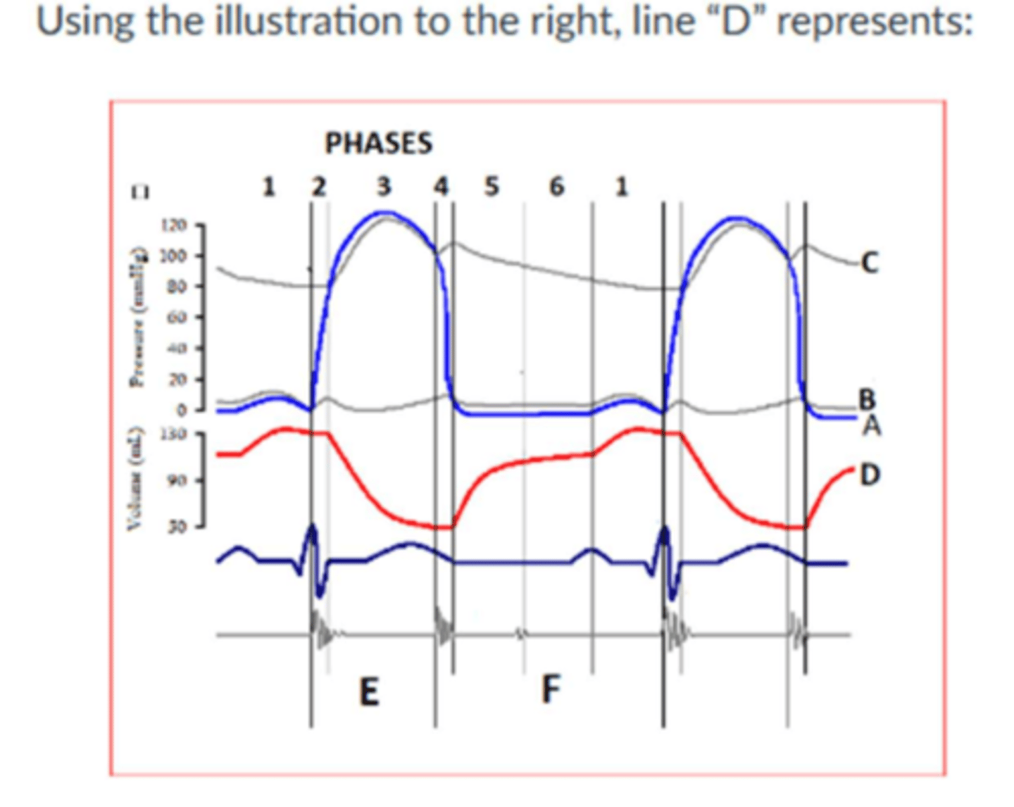 <p>Left ventricular volume</p>