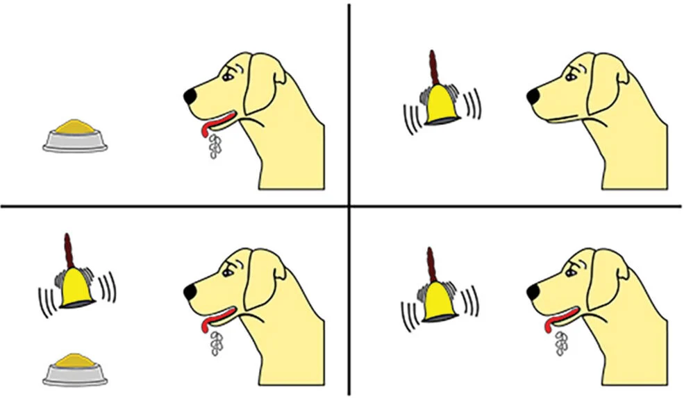 <p>Ivan Pavlov</p>