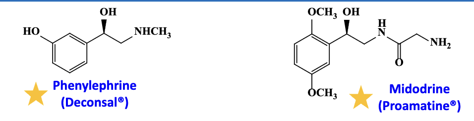 <p>Phenylephrine and Midodrine (prodrug)</p><ul><li><p>peripheral vasoconstriction</p><ul><li><p>midorine —> orthostatic hypotension (BP <strong>downs</strong> on standing)</p><ul><li><p>active drug after releasing the amine (H2N-C=O)</p></li></ul></li><li><p>phenylephrine—> nasal decongestant but ineffective; Pupillary dilation and glaucoma<span>&nbsp;</span></p></li></ul></li><li><p>act similarly to NE and Epi</p></li></ul><p></p>