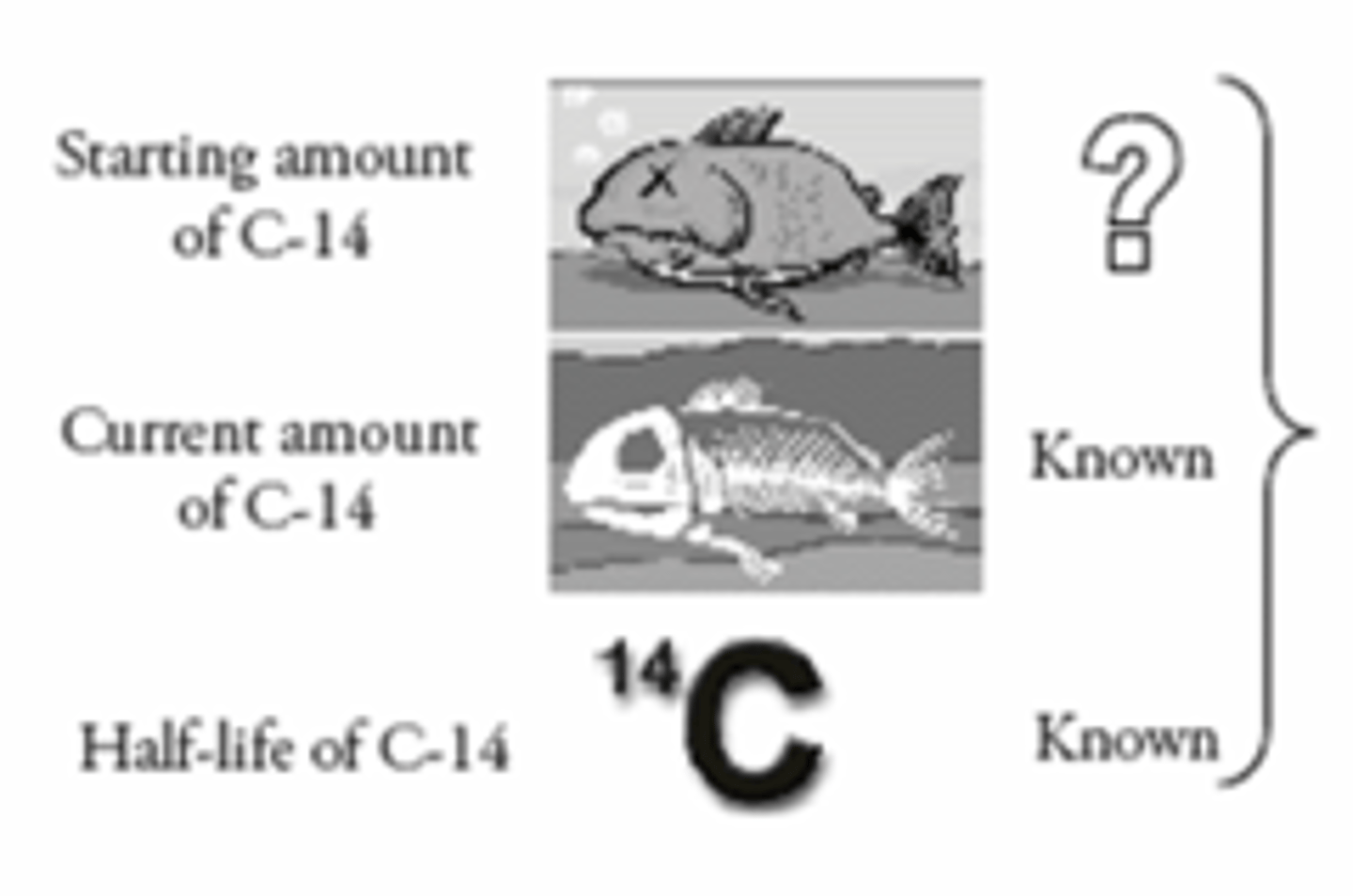 <p>Tells us how old organic materials are. It can tell us up to 60,000 years.</p>