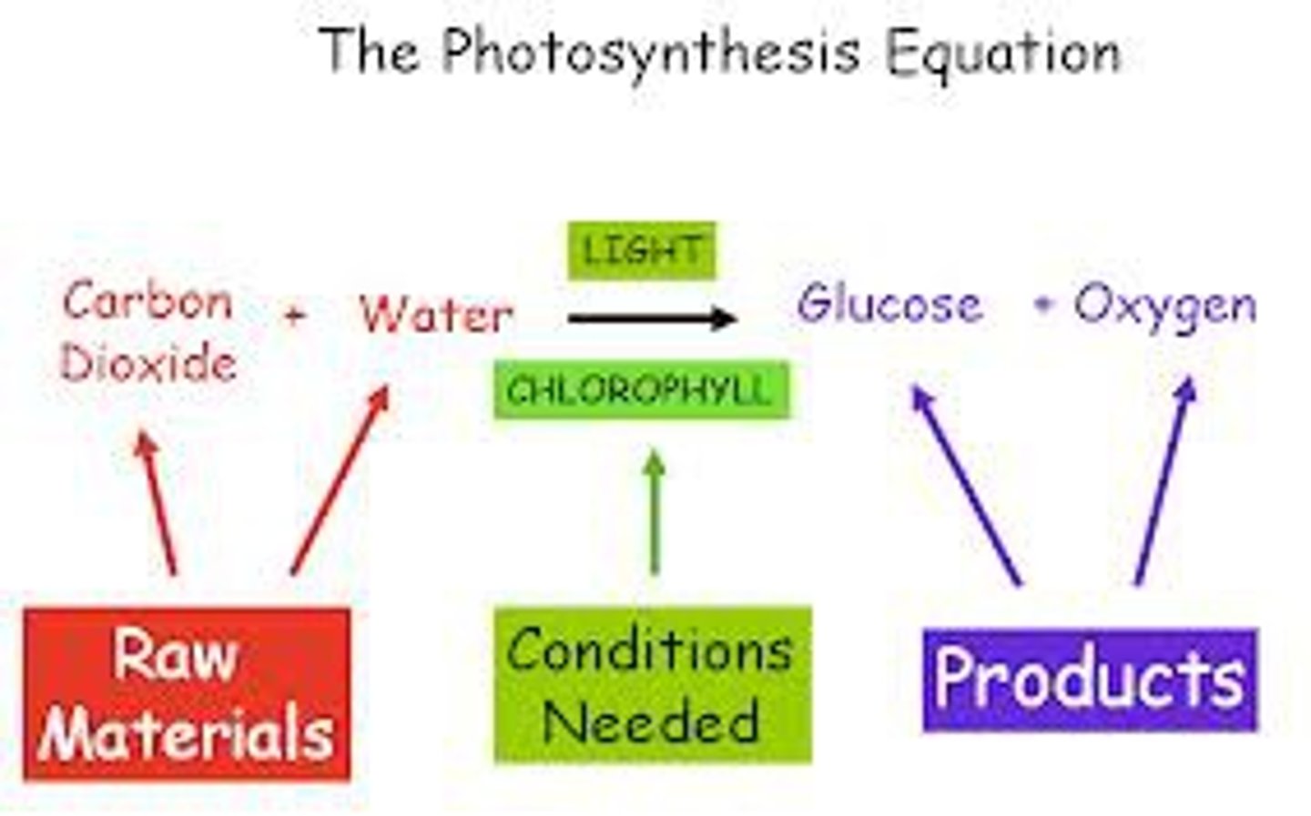 <p>Carbon dioxide + water (light energy+chlorophyll) -&gt; glucose + oxygen</p>