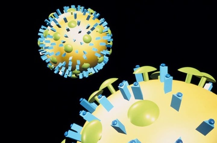 <p>Triangle shaped</p>