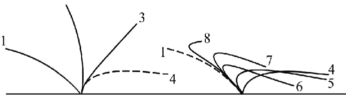 <p>One-way movement </p><ul><li><p>found in the trachea and uterine tubes </p></li><li><p>power stroke and recovery stroke </p></li></ul><p></p>