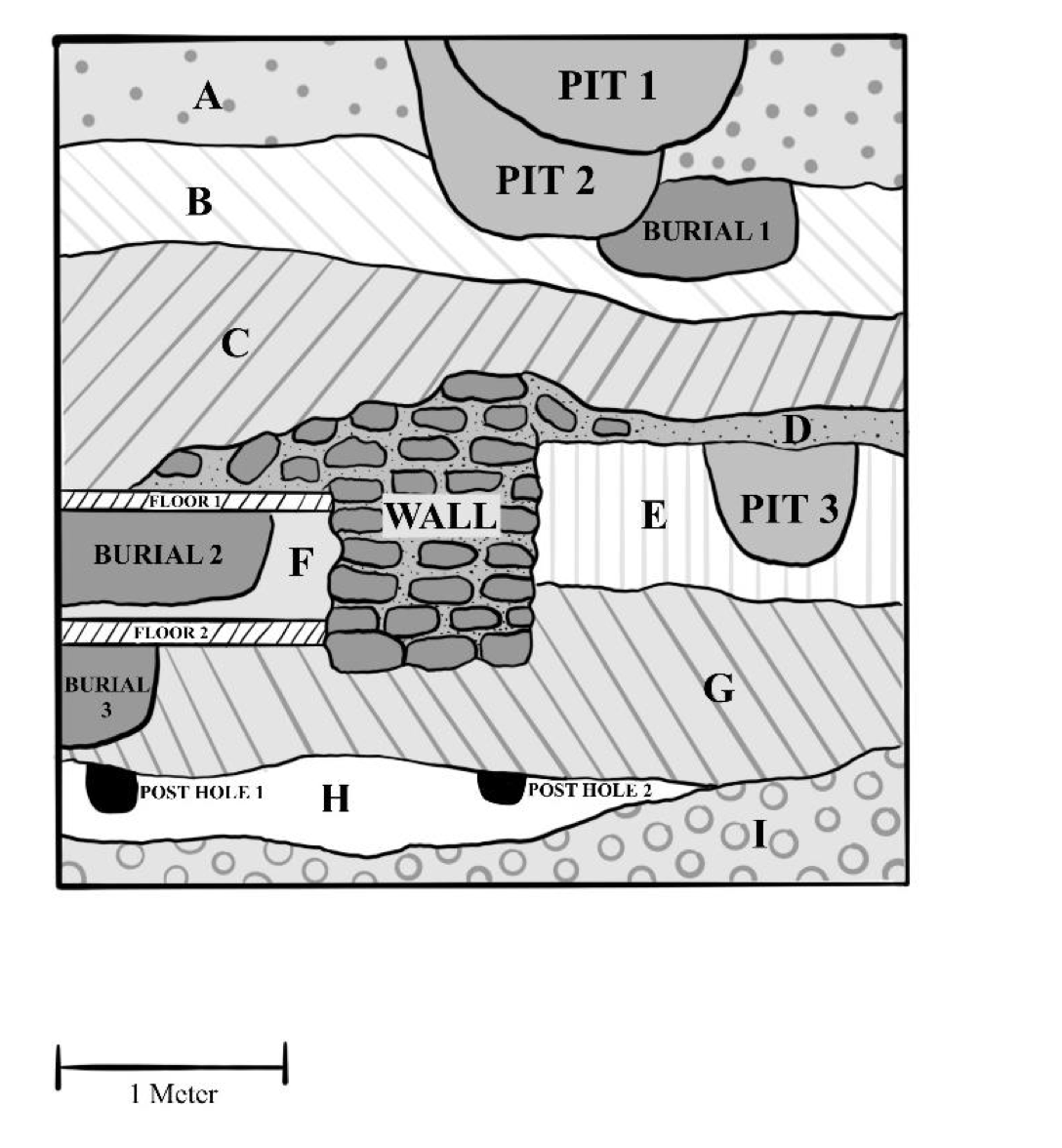<p><span>🦴</span>What is the correct chronological order of strata, from oldest to newest? Order Burial 1, Pit 2, A, C, D</p><p></p>