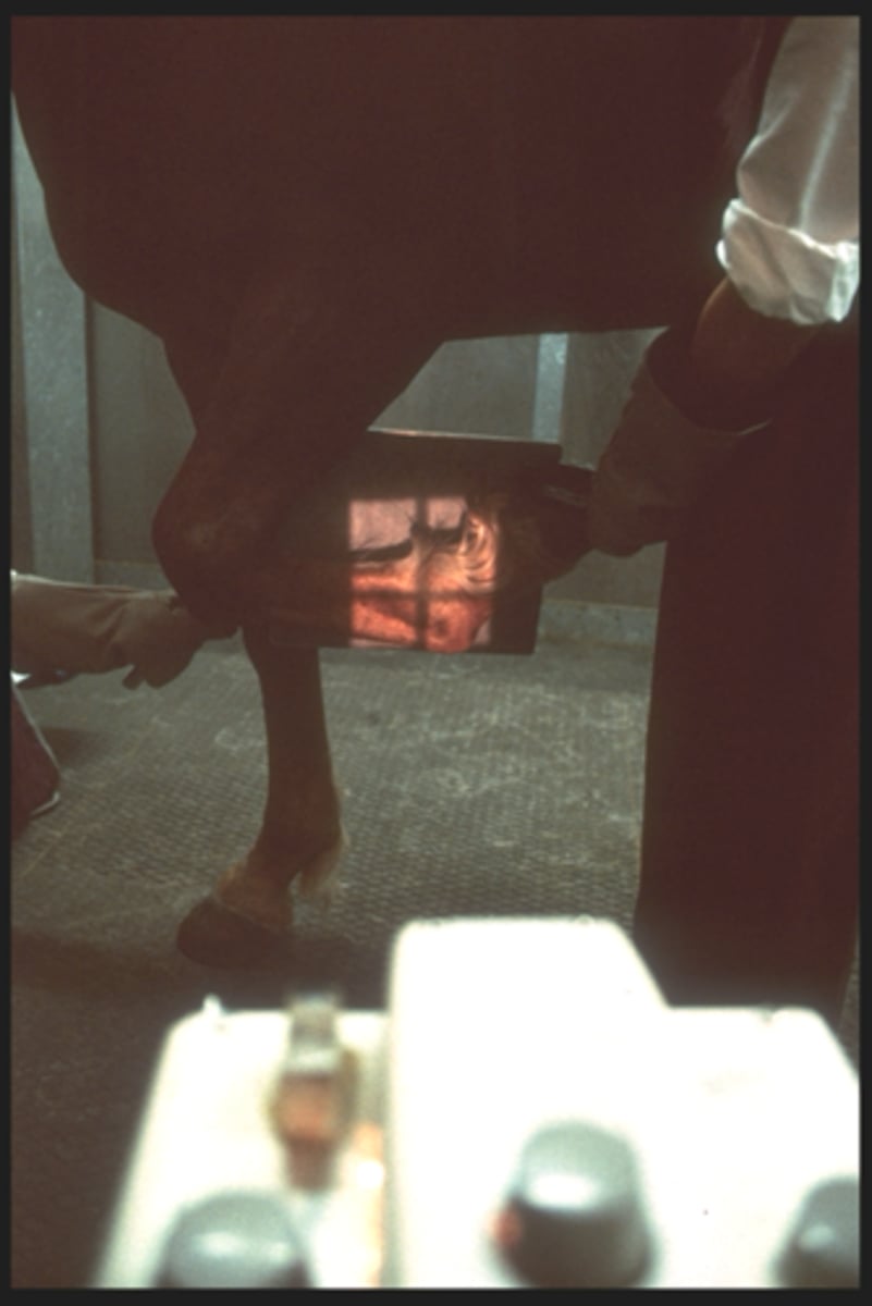 <p>What view is being taken?</p>