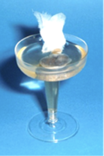 <p>Which exam technique is shown in this image?</p>