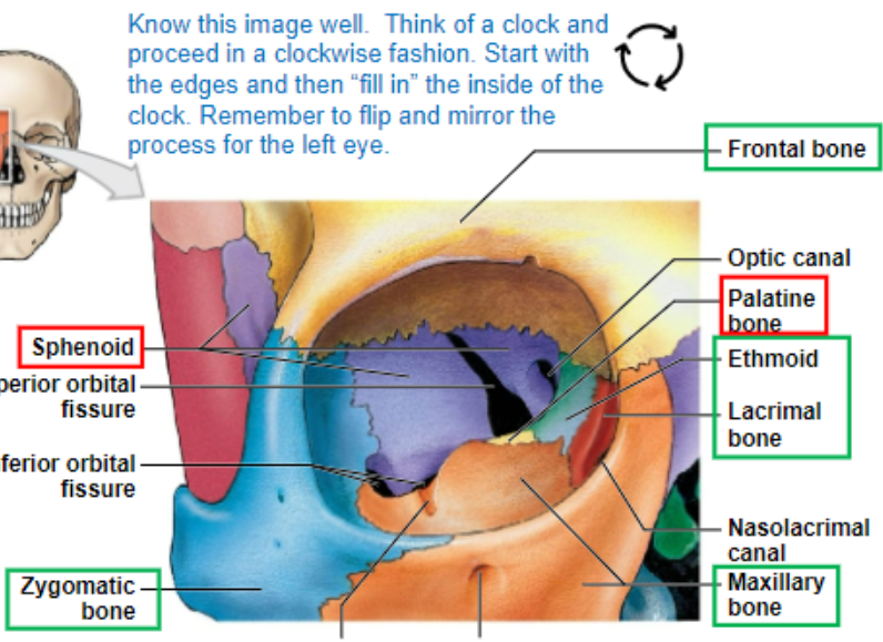 <p>know all of this</p>