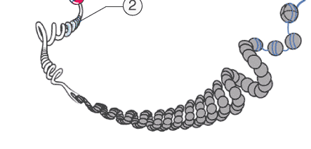 <p>A complex of DNA ,RNA, and protein found in eukaryotic cells. This complex serves to package long DNA molecules into compact linear strands also called chromatids or chromosomes. These strands serve important roles during the S-Phase.</p><p>These also include histones.</p>