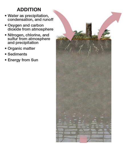 <p><strong>examples of additions to soil.</strong></p>