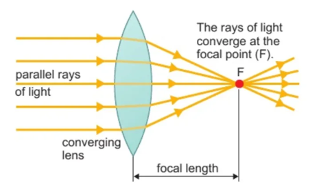 <p>a type of lens that brings light rays together</p>