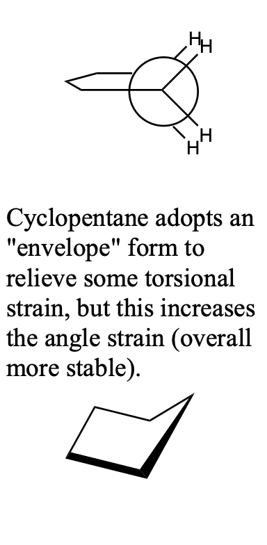 <ul><li><p>108° bond angles</p></li><li><p>small amount of angle strain</p></li><li><p>also torsional strain if planar</p></li><li><p>Cyclopentane adopts an "envelope" form to relieve some torsional strain, but this increases the angle strain (overall more stable).</p></li></ul><p></p>
