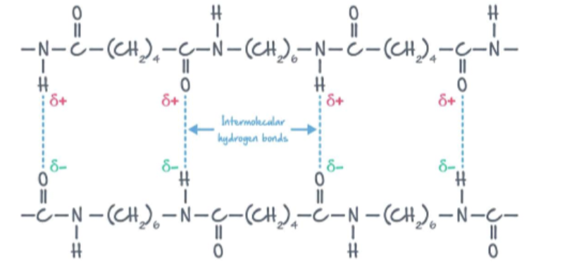 <ul><li><p>Formed between Hexanedioic Acid and Hexane-1,6-diamine </p></li><li><p>An amide link is formed</p></li><li><p>Alternate between 4 CH2 and 6 CH2</p></li><li><p>Water is produced</p></li><li><p>High tensile strength (due to H bonding)</p></li><li><p>Lightweight material, stretch</p></li></ul><p></p>