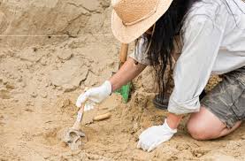 <p>Archaeologist</p>