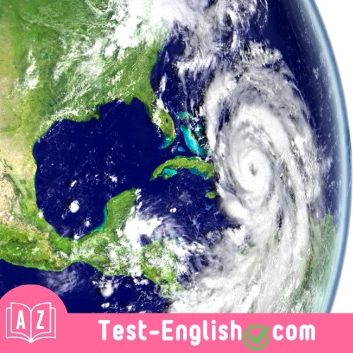 <p>The state of Florida was hit by a _____ that caused serious damage.</p>