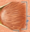 <p>what is this?</p>