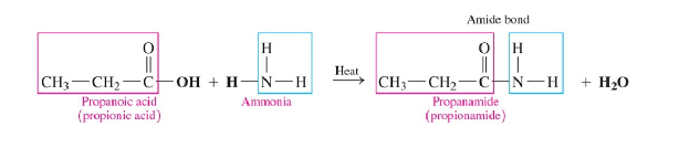 <ul><li><p>carboxylic acid reacts with ammonia or a primary or secondary amine</p></li><li><p>forms amide</p></li><li><p>requires heat</p></li><li><p>tertiary do not react</p></li><li><p>produces water</p></li></ul>