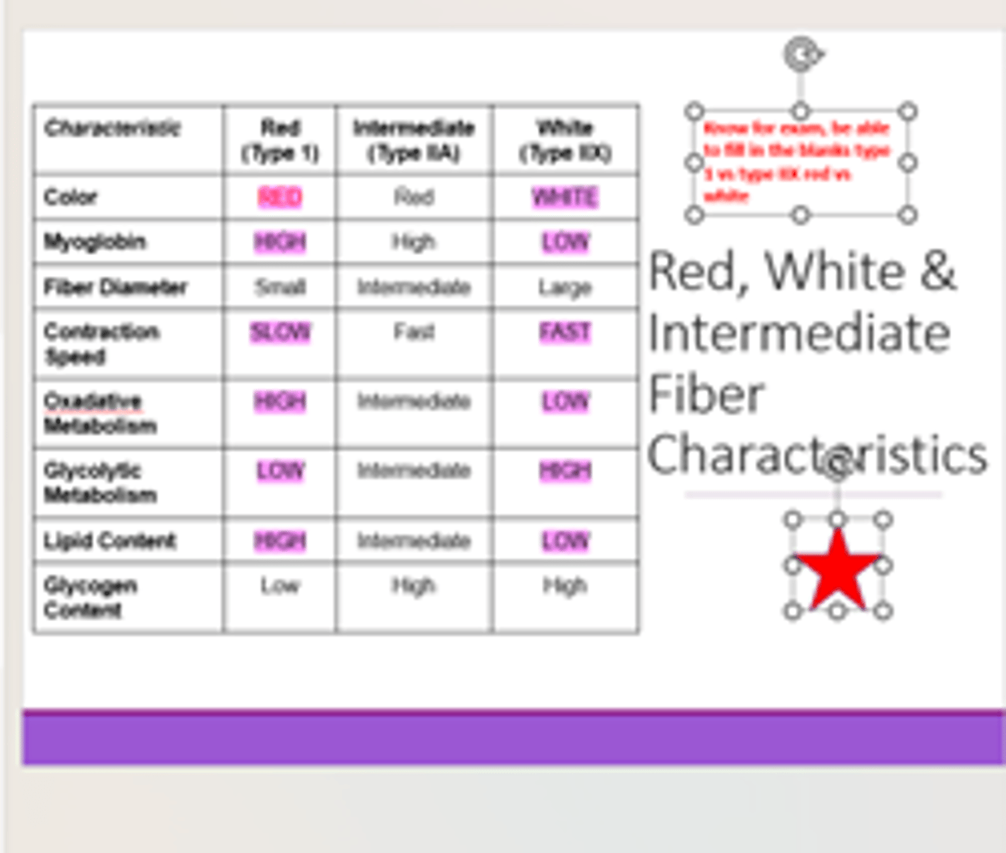 <p>◦Leg muscles of chicken have a higher proportion of red fibers</p><p>◦Breast muscles of chicken have a higher proportion of white fibers</p>