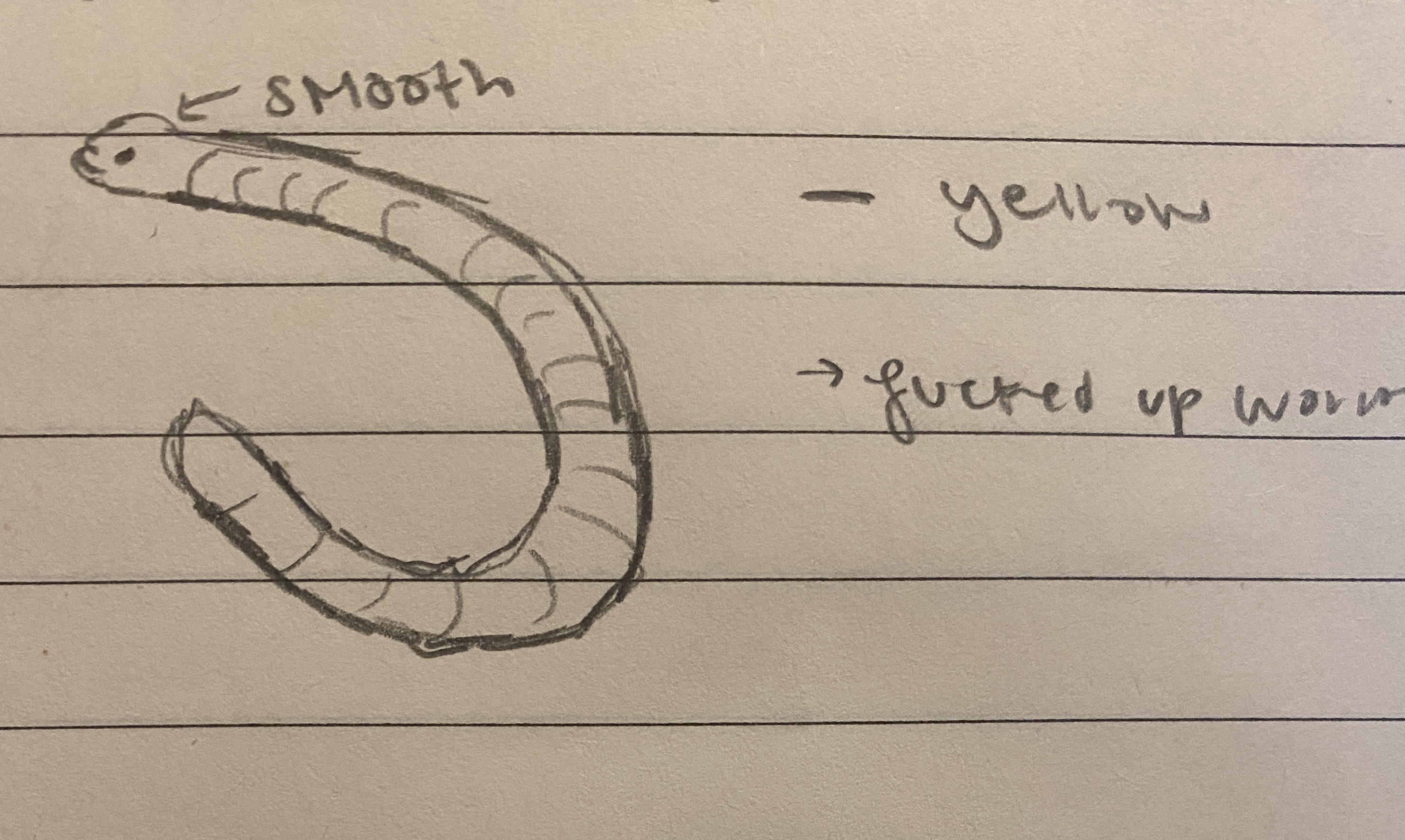 <p>worm w/ back bone</p><p>annuli</p><p>internal fertilization</p><p>no/ little tail</p><p>214 species</p><p>pantropical range, hotspot in S. America</p>