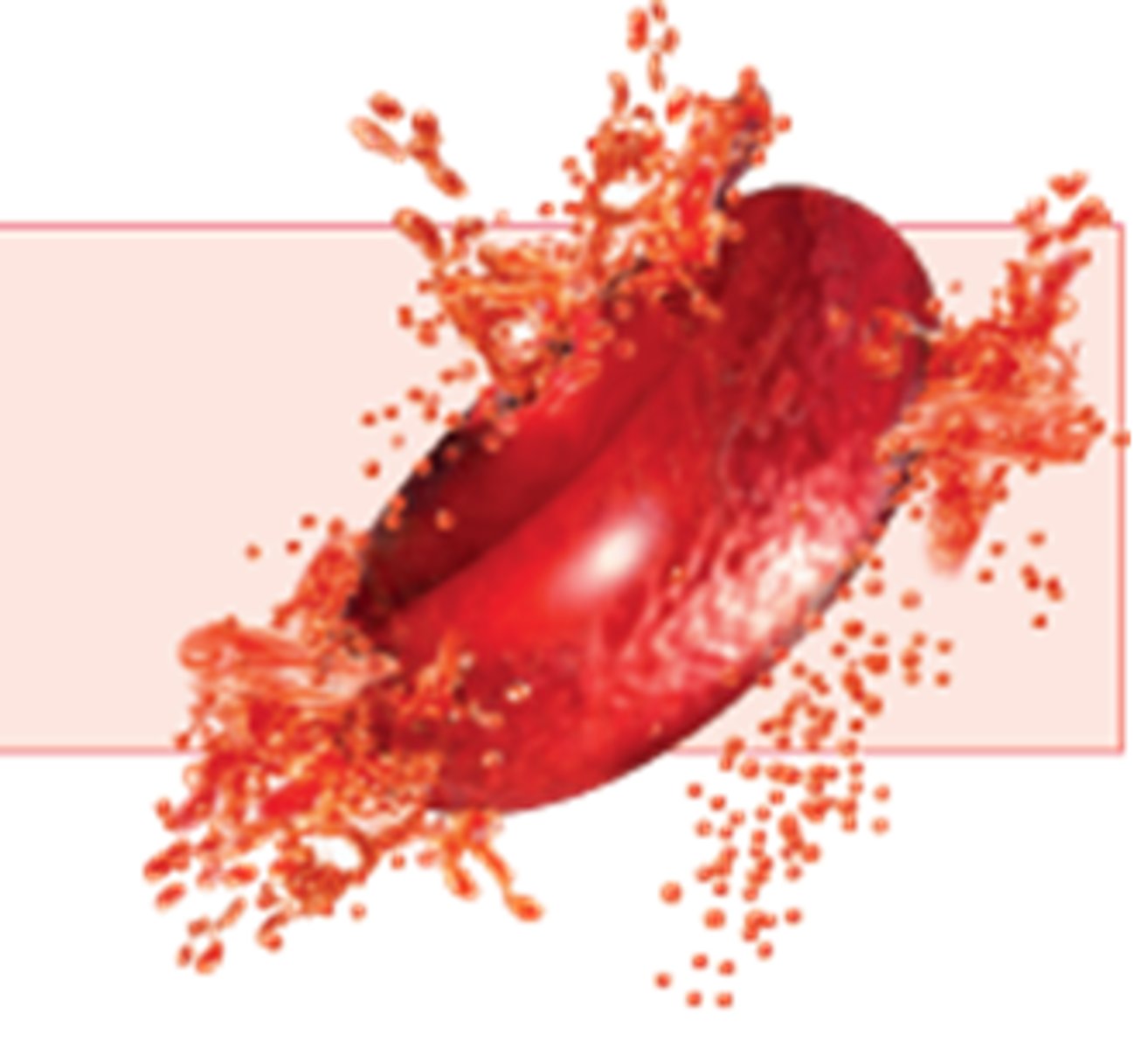 <p>animal cell in high w.p solution</p>