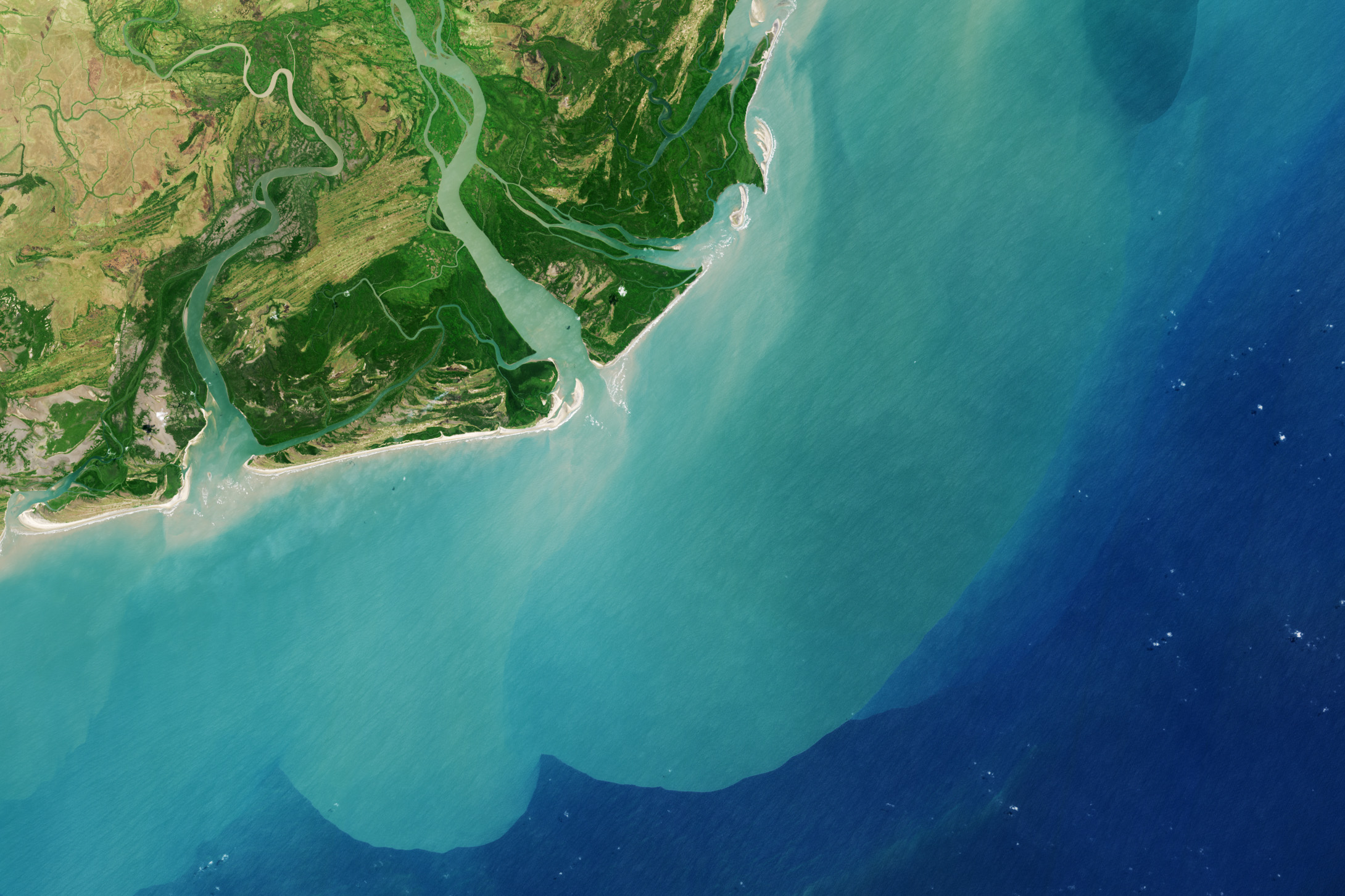 <p>Place where river enters lake/ocean</p>