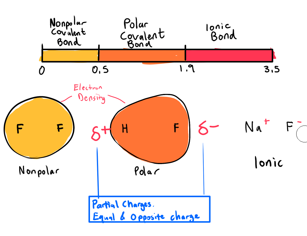 <p><strong>Nonpolar Covalent Bond</strong></p><p> 𝚫EN: 0 – 0.4</p><p></p><p><strong>Polar Covalent Bond </strong></p><p> 𝚫EN: 0.5 – 1.8</p><p></p><p><strong>Ionic Bond</strong></p><p> 𝚫EN: 1.9 - 3.5</p><p></p><p><strong><em>All polar covalent bonds have some ionic character and vice verse</em></strong></p>