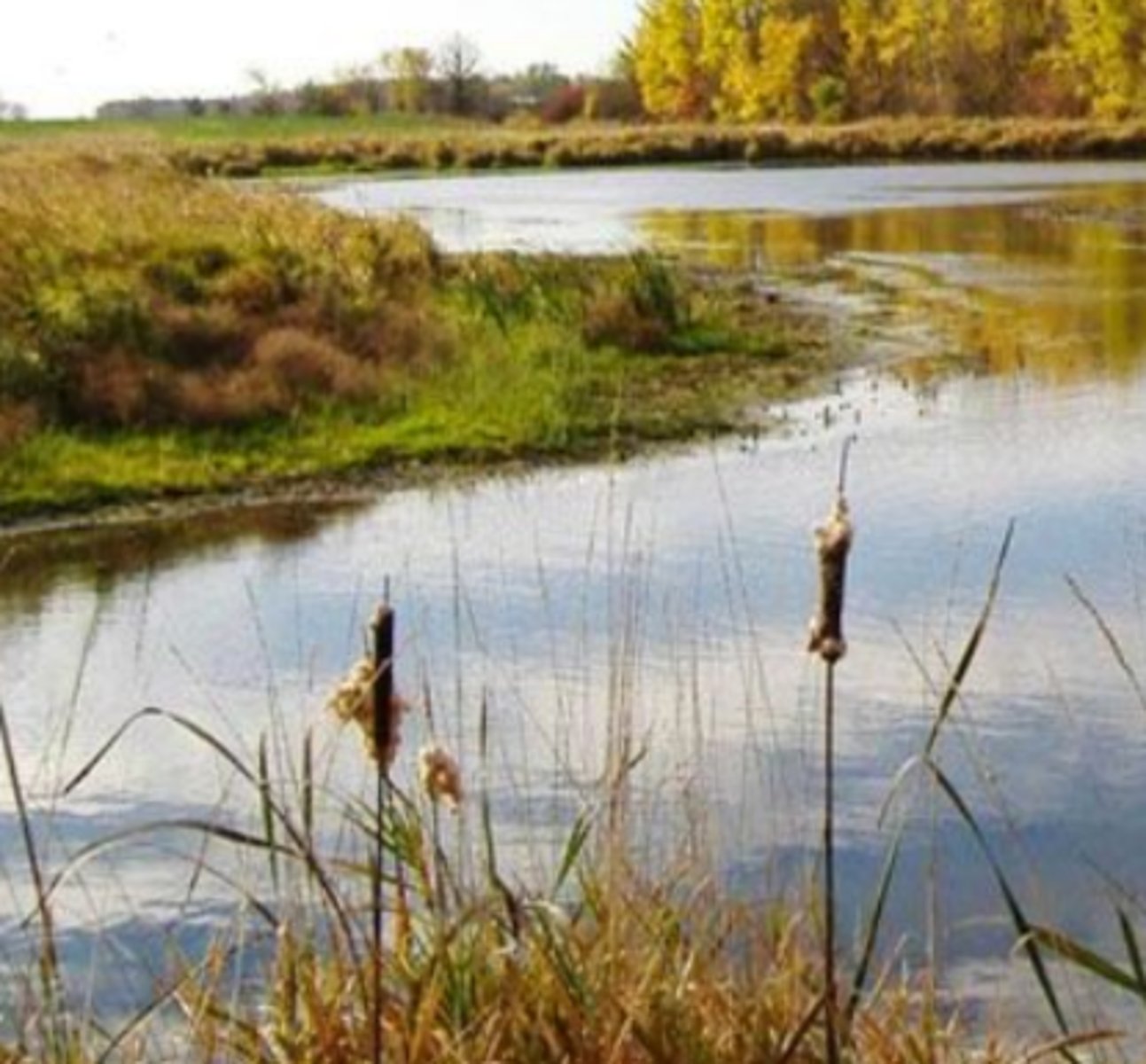 <p>watershed classification, water is not a limiting factor, high rainfall, high runoff, dominant evaporation</p>