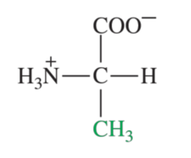 <p>What amino acid is shown in the image?</p>