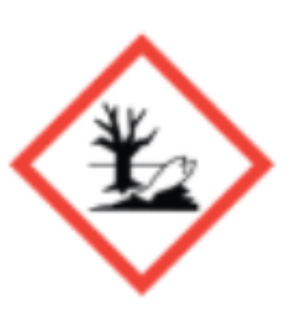 <p>Environment </p>