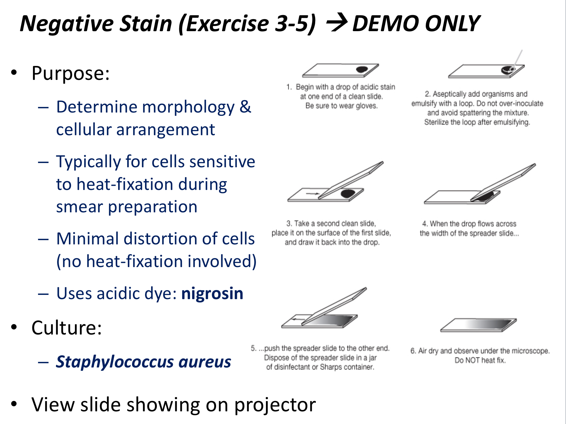 <p>A technique used to see the inner structures and capsule of a smear's cells without heat fixation.</p>
