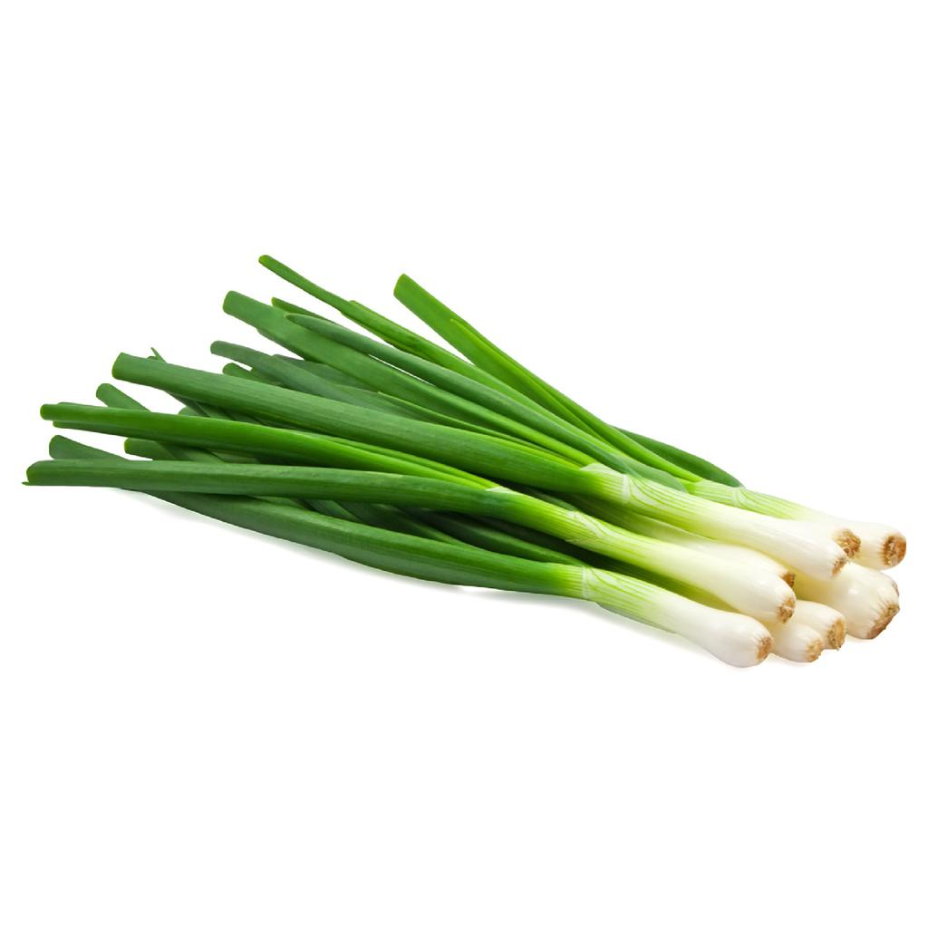 <p>cebolla de rama</p>