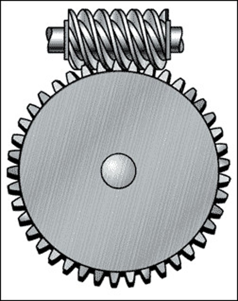 <p>the gear attaching to a worm</p>