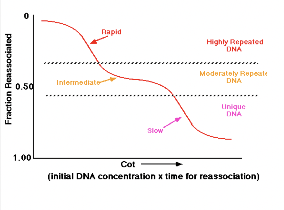 Renaturation 