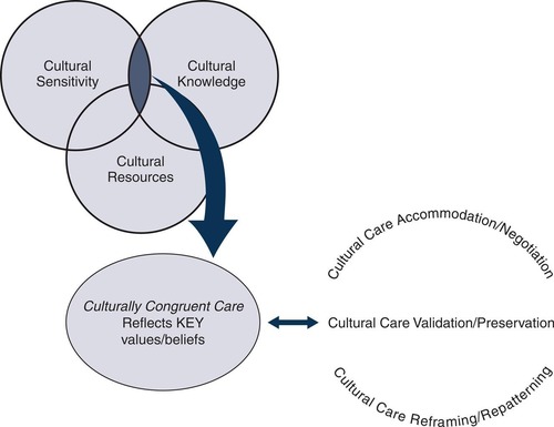 <p><span><span>Refers to awareness, understanding, and a respect for culture and its influence on people and processes.</span></span></p>