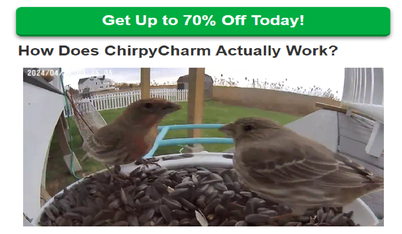 <p><span style="font-family: &quot;Times New Roman&quot;, &quot;serif&quot;">The </span><a target="_blank" rel="noopener noreferrer nofollow" class="link" href="https://www.facebook.com/groups/chirpycharmcamera" data-prevent-progress="true"><span><strong>ChirpyCharm Camera</strong></span></a><span style="font-family: &quot;Times New Roman&quot;, &quot;serif&quot;"> system was engineered specifically to address these challenges, combining purpose-built hardware with intelligent software to make beautiful bird photography accessible to everyone. By understanding the specific requirements of backyard bird photography and integrating solutions directly into the product design, ChirpyCharm enables anyone to document their avian visitors with professional-quality results, regardless of previous photography experience.</span></p><p class="MsoNormal"><span style="font-family: &quot;Times New Roman&quot;, &quot;serif&quot;"><strong>&nbsp;</strong></span></p><p class="MsoNormal"><a target="_blank" rel="noopener noreferrer nofollow" class="link" href="https://www.zen-fluff-sleep-pillow.com/product/chirpycharm-camera/" data-prevent-progress="true"><span style="font-family: &quot;MS Gothic&quot;"><strong>➤➤</strong></span><span style="font-family: Calibri, &quot;sans-serif&quot;"><strong> Availability &amp; Price — VISIT OFFICIAL WEBSITE</strong></span></a></p>