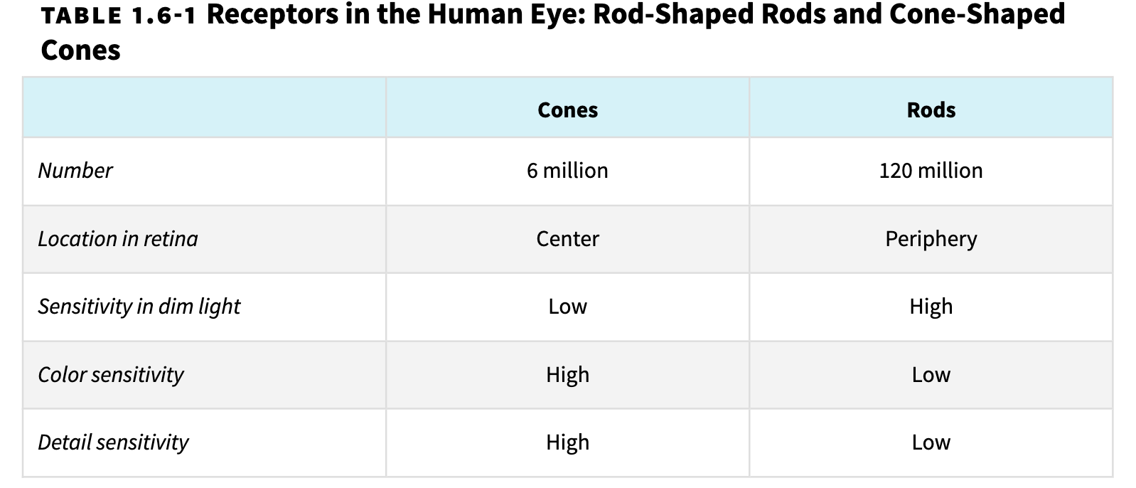 <p><u>retinal receptors that detect black, white, and gray</u>&nbsp;+ <u>sensitive to movement</u>; necessary <u>for peripheral and twilight vision</u>, when cones don’t respond</p>
