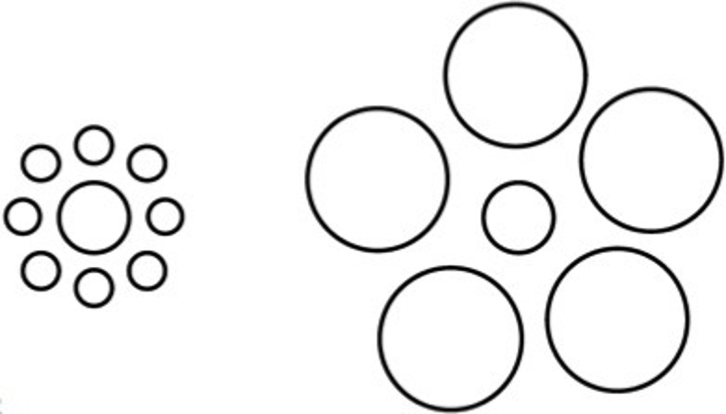 <p>illusion due to misleading cues in stimuli; inaccurate or impossible perceptions</p>