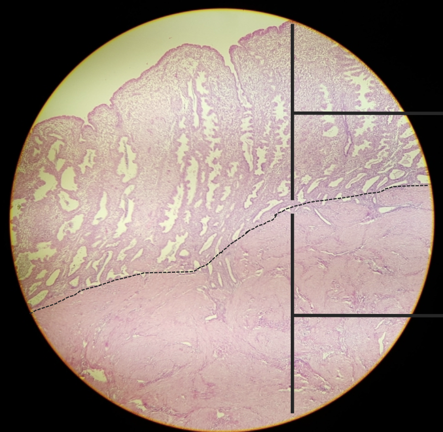 <p>what is this?</p>